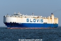 Glovis Comet SH-300424-01.jpg