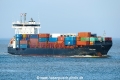 Baltic Shark JG-020324-1.jpg