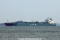 Fritzi N OS-300314-05.jpg