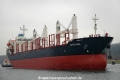 Apollonia (MP-230207-1).jpg