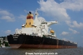 Cape Ray 260714-12.jpg