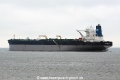 Overseas Mulan (JS-260814-10).jpg