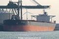 Cape Sun (MS-060407-1).jpg