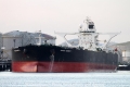 Samco America SH-150912-01.jpg