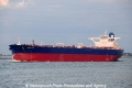 Pisces Star OS-200913-19.jpg