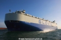 Glovis Crown OS-150115-14.jpg