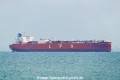Gas Scorpio OS-101018-01.jpg