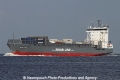 Baltic Swan SH-130612-01.jpg