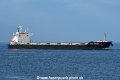 Bulk Sweden JG-250226-1.jpg