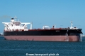 Pacific M SH-030719-01.jpg