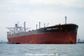Phoenix Trader (OS-FN701).jpg