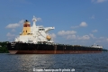 Cape Ray 260714-15.jpg