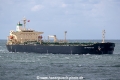 DS Promoter SH-240818-01.jpg
