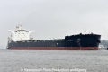 Cape Ray (KB-D190513-02).jpg