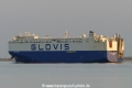 Glovis Cosmos (KK-010516-3).jpg