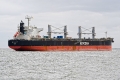 Betula Arrow JG-171025-4.jpg