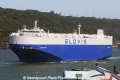Glovis Passion OS-010312-10.jpg