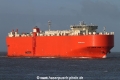 Glovis Cougar SH-270115-01.jpg