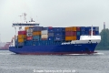 Baltic Whale (MB-230425-2).jpg