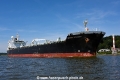 British Emissary 010815-04.jpg
