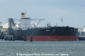 Onoba (MB-180611-1).jpg