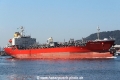 Birdie Trader RV-180416-01.jpg