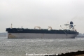 Overseas Mulan (JS-260814-01).jpg