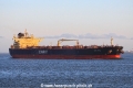 Dubai Angel (JS-270415-02).jpg