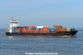 Baltic Shark JG-020324-3.jpg