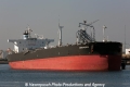 Drepanos (MM-210713-1).jpg