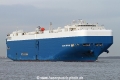 Glovis Companion SH-180114-01.jpg