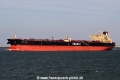 Dubai Charm (JS-060910-07).jpg