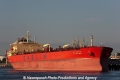 DL Bellflower (MM-040813-1).jpg