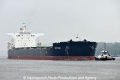 Cape Ray (KB-D190513-01).jpg