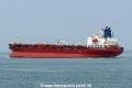 Barbouni (MB-010426-5).jpg