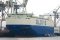 Glovis Sirius (KB-D240617-01).jpg