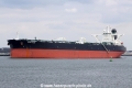 Samco Europe (JS-020910-10).jpg