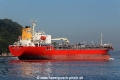 Birdie Trader RV-180416-06.jpg