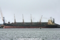 Skua 180819.jpg