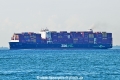 Zim Pearl OS-181125-1.jpg