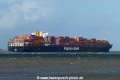 Tolten (KK-160922-3).jpg