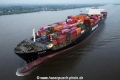 Tolten TL-250823-3.jpg
