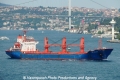 Sir Walter (LW-110613-03).jpg