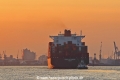 Tsingtao Express JP-070423-3.jpg