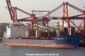 Spar Virgo OS-280307-01.jpg