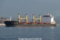 Spar Lynx (OK-060315-2).jpg