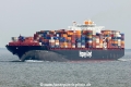 Tsingtao Express NK-040712-01.jpg