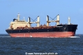 Star Aquila JG-021022-2.jpg