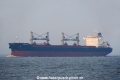 Star Crios (KK-201219-0).jpg