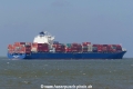 Sydney Trader (KK-200618-1).jpg